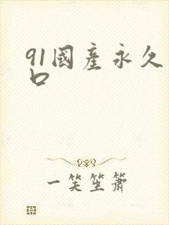 91国产永久入口