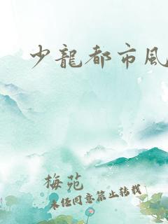 少龙都市风流行