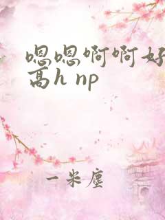 嗯嗯啊啊好爽 高h np