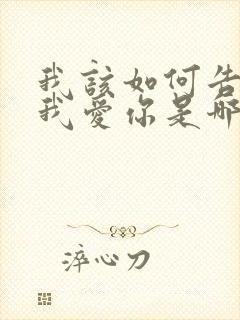 我该如何告诉你我爱你是哪首歌歌词