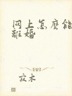 网上怎么能快速离婚