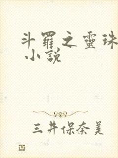 斗罗之灵珠神剑 小说