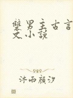 双男主古言情甜文小说