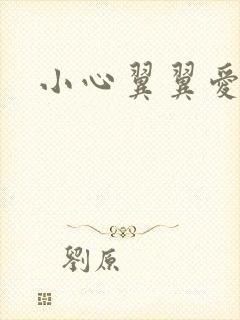 小心翼翼爱上你