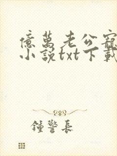 亿万老公宠上天小说txt下载