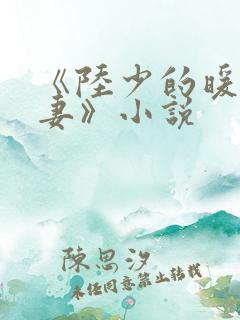 《陆少的暖婚新妻》小说