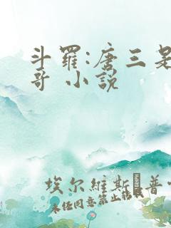 斗罗:唐三是我哥 小说