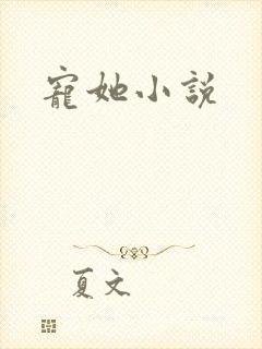宠她小说