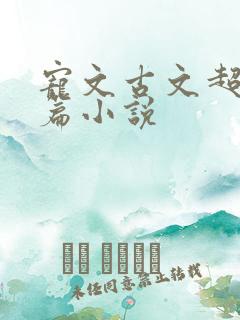 宠文古文超甜短篇小说