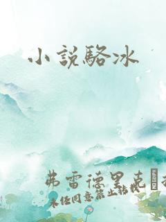 小说骆冰