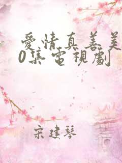 爱情真善美全40集电视剧