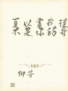夏以昼我从来都不是你的哥哥