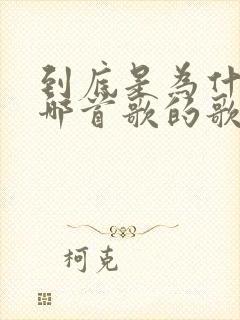 到底是为什么是哪首歌的歌词