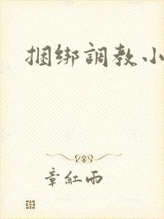 捆绑调教小说女