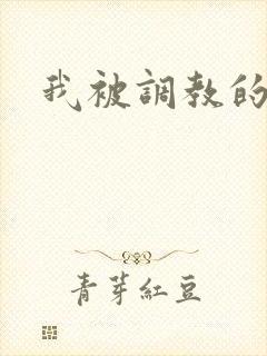 我被调教的小说