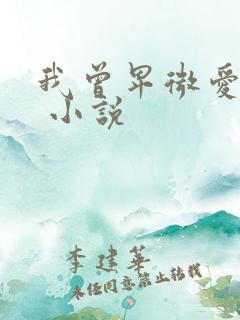 我曾卑微爱过你 小说