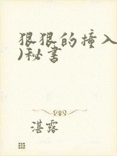 狠狠的撞入(h)秘书