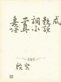 妻子调教成公用淫具小说