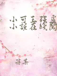 小可王强卢叔的小说在线阅读全文