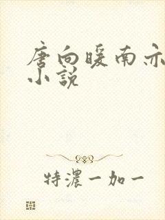 唐向暖南亦琛的小说