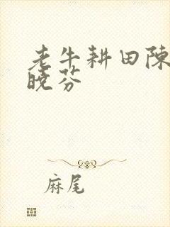 老牛耕田陈雪杨晓芬