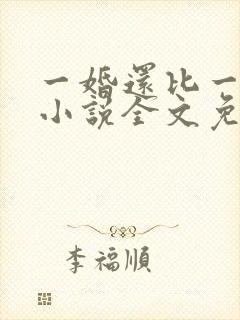 一婚还比一婚高小说全文免费