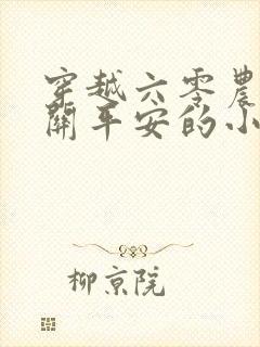 穿越六零农家女关平安的小说