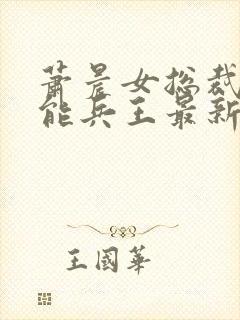 萧晨女总裁的全能兵王最新