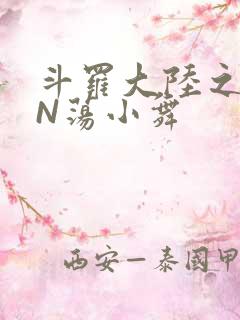 斗罗大陆之YIN荡小舞