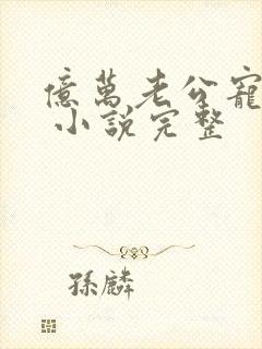 亿万老公宠上天 小说完整