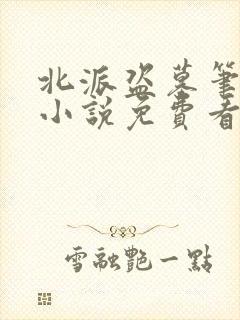 北派盗墓笔记 小说免费看