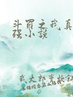 斗罗之我真的不强小说