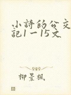 小诗的公交车日记1一15文