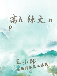高h 辣文 np