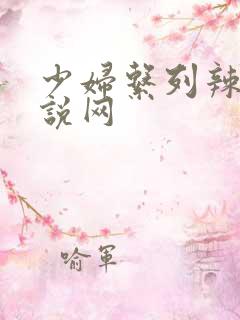少妇系列辣文小说网