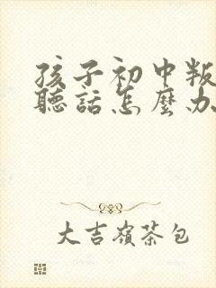 孩子初中叛逆不听话怎么办