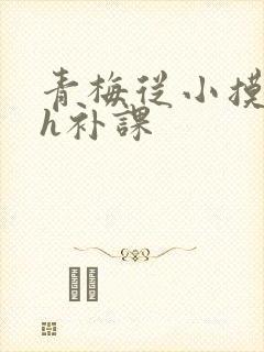 青梅从小摸到大h补课