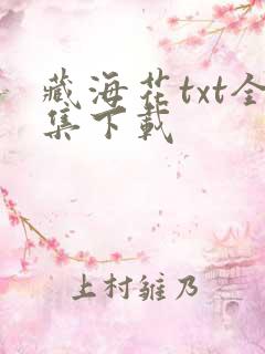 藏海花txt全集下载