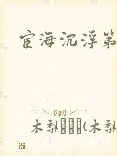 宦海沉浮第三部