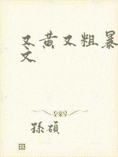 又黄又粗暴np文