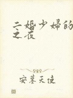 二婚少妇的新婚之夜