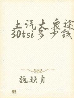 上汽大众途昂330tsi多少钱
