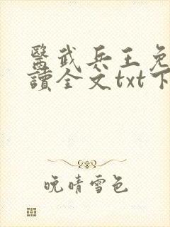 医武兵王免费阅读全文txt下载