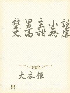 双男主小说甜宠文高甜无虐