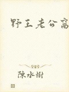 野王老公窝