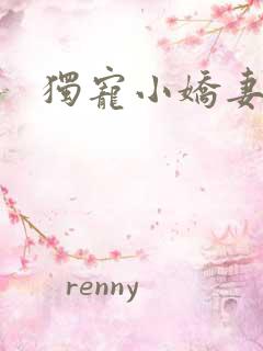 独宠小娇妻