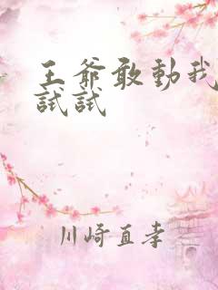 王爷敢动我妈咪试试
