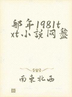 那年1981txt小说网盘