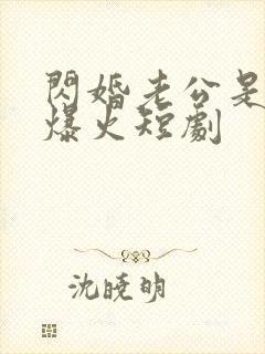 闪婚老公是总裁爆火短剧