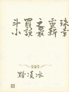 斗罗之灵珠神剑小说最新章节列表最